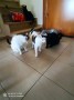 Magia_Nuca (4)